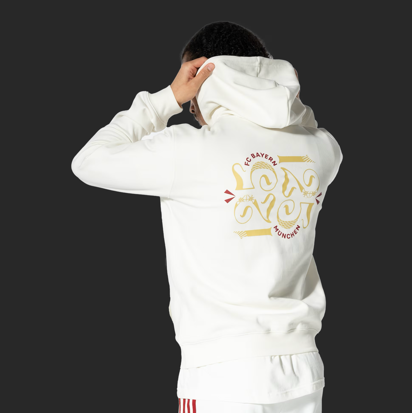 Bayern Munich Hoodie 125th Anniversary - Red