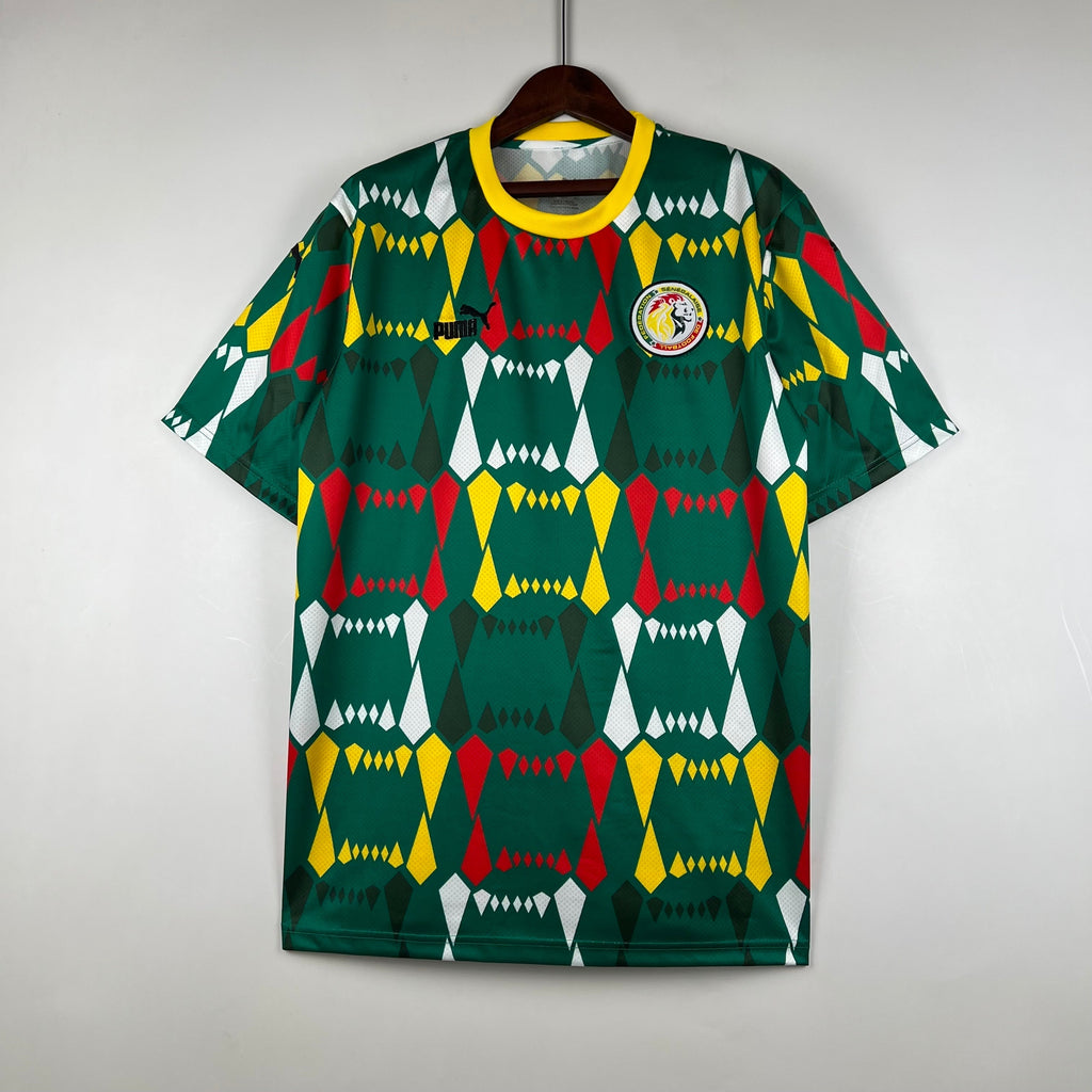 Senegal Home 2023/24 - Fan Version