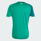 Northern Ireland 26 Home Jersey World Cup 2026 - Fan Version