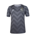 Santos 24/25 Goalkeeper Jersey - Gray - Fan Version